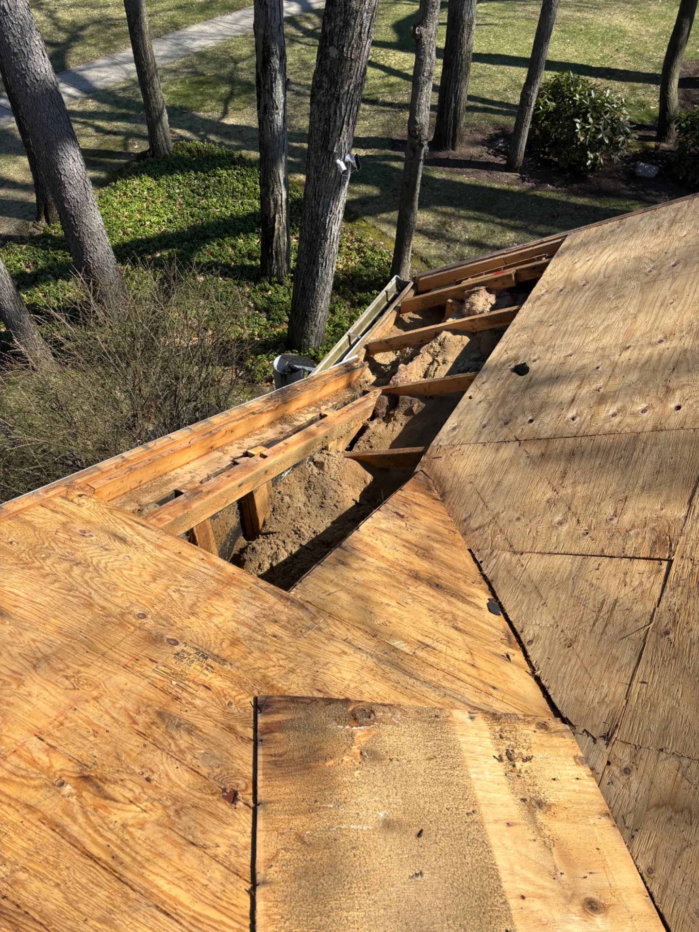 Roof Replacement in Shelby Township with CertainTeed Landmark Pro Espresso shingles — photo 16 of 20